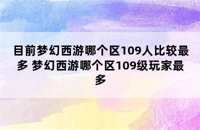 目前梦幻西游哪个区109人比较最多 梦幻西游哪个区109级玩家最多